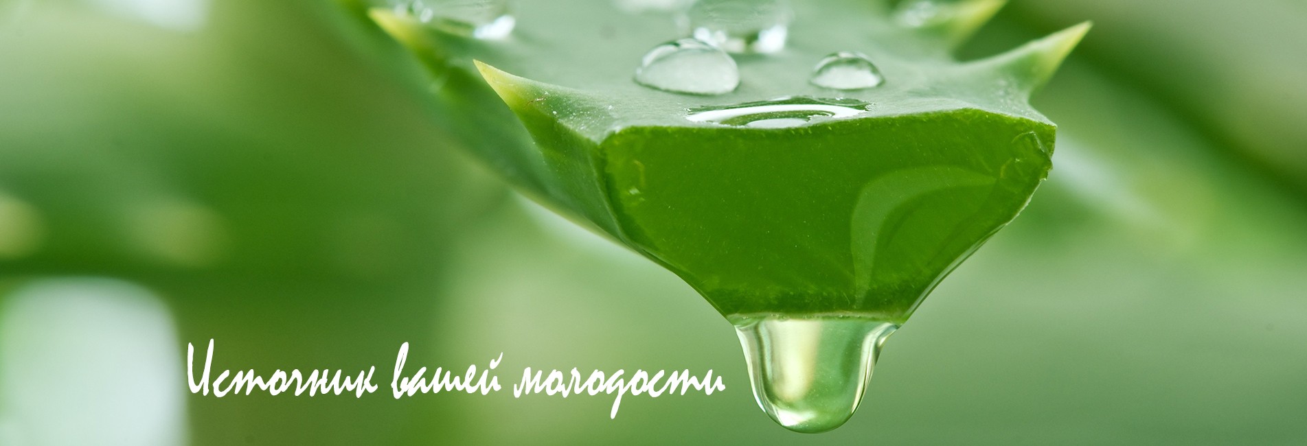 Источник вашей молодости